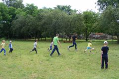 DSCF12990